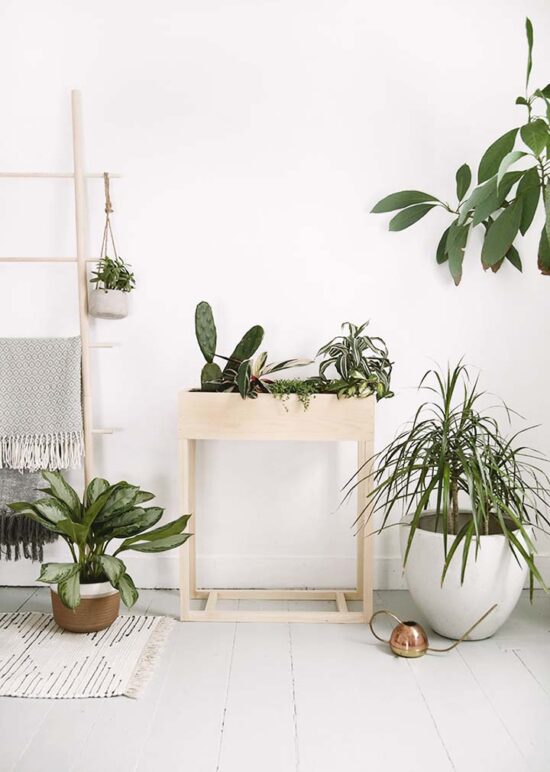 13 Cool & Creative DIY Plant Stand Ideas