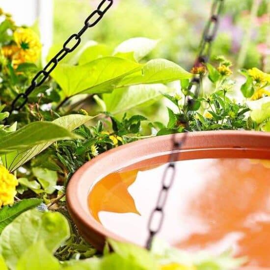 12 DIY Bird Bath Ideas