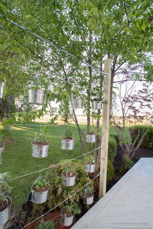 diy vertical garden with hanging cans on a repurposed handrail