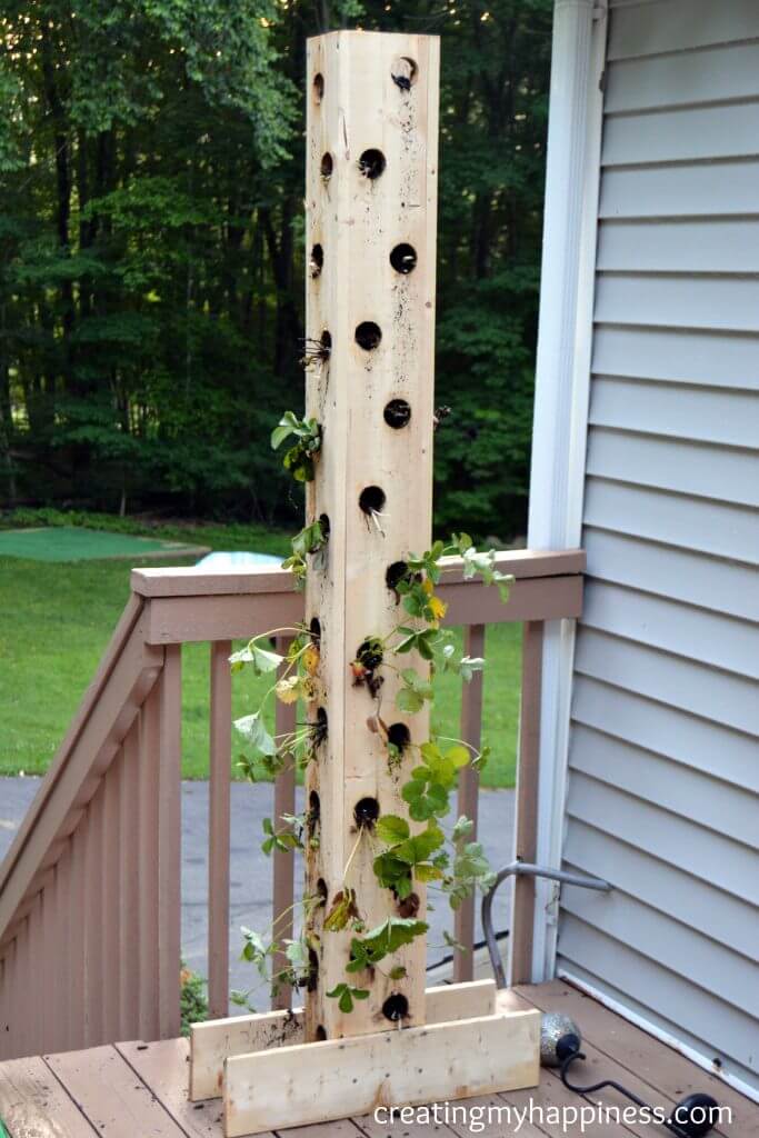 DIY wooden strawberry vertical garden