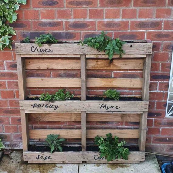 pallet planter with various labeled herbs