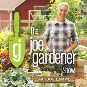 Best Gardening Podcasts for Every Garden Lover