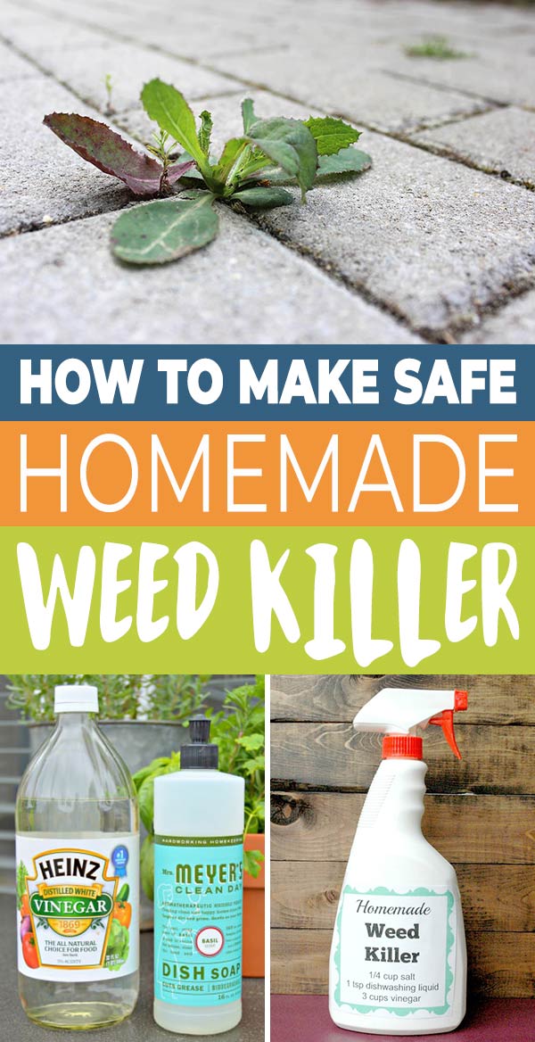 How To Kill Weeds With Vinegar: A Natural And Effective Solution ...