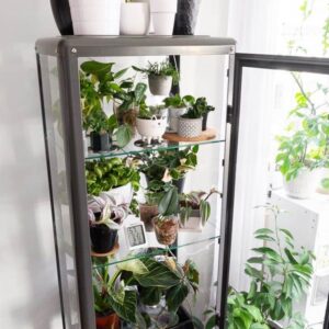 Easy DIY Indoor Greenhouse Ideas