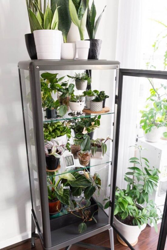 Easy DIY Indoor Greenhouse Ideas