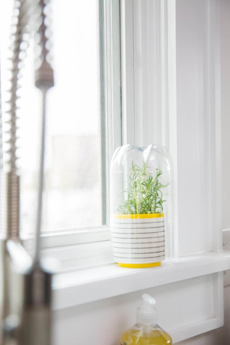 A potted plant sits on a windowsil. A plastic drink bottle with no label has been cut in half and placed over it to make a mini indoor greenhouse.