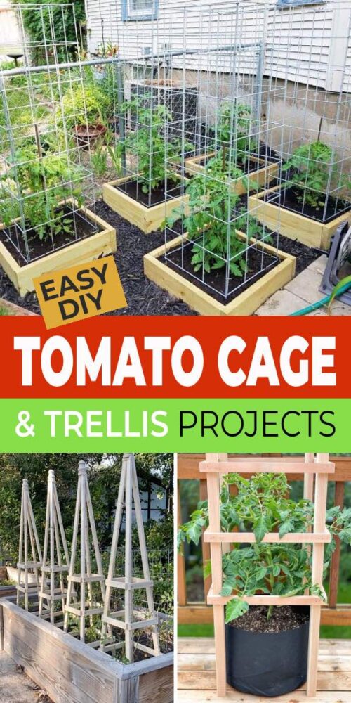 Easy Diy Tomato Cage & Trellis Ideas: How To Make Them! • The Garden Glove