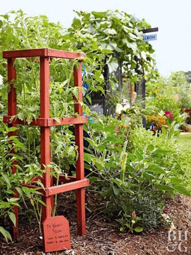 Easy DIY Tomato Cage & Trellis Ideas: How to Make Them! • The Garden Glove