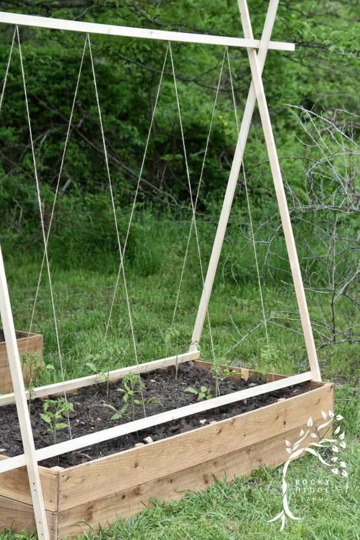 diy wooden tomato trellis with garden twine supports