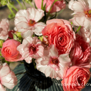 peach coral and butterfly ranunculus in vase