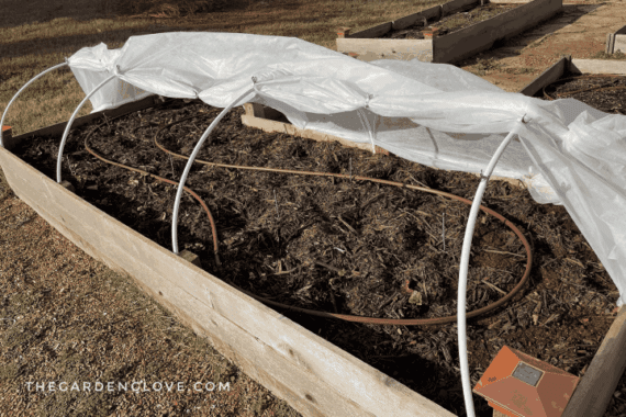 raised garden bed with frost cloth tunnel on top