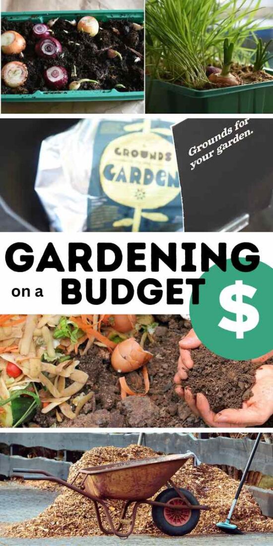 22 Tips For Gardening On A Budget • The Garden Glove