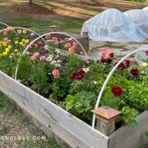 frost tunnel set up without cover