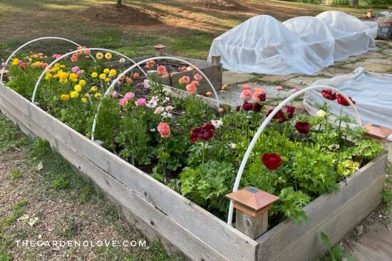 frost tunnel set up without cover