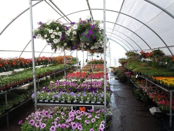 plant nursery or garden center