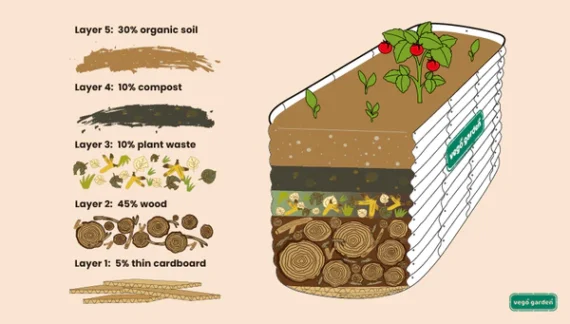 diagram of how to fill a raised bed cheaply