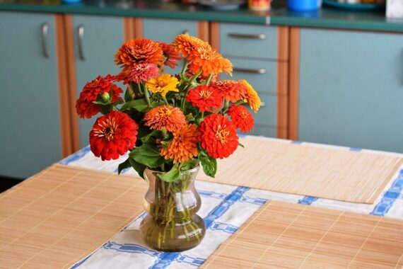 red and orange zinnia bouquet on tabletop