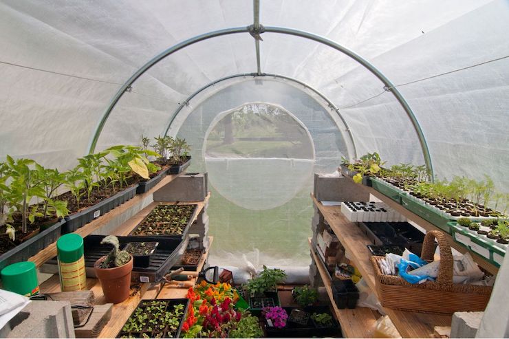 A Greenhouse Winter Garden - FineGardening