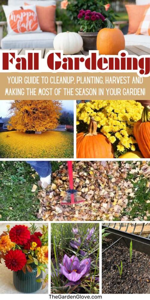 Plant These Vegetables in Your Fall Garden - The Home Depot