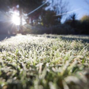 close up of lawn covered in frost