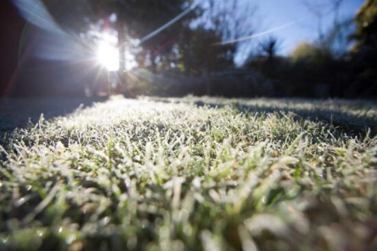 close up of lawn covered in frost