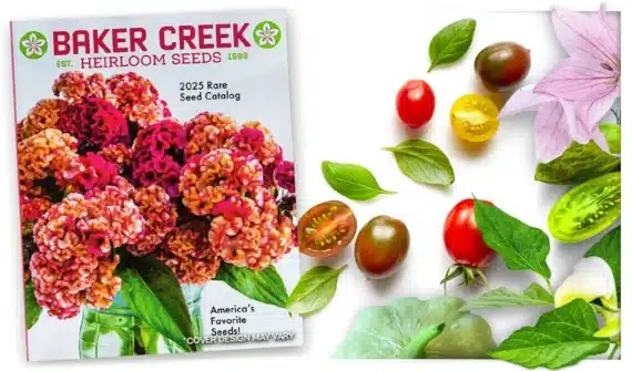 Baker Creek Seed Catalog
