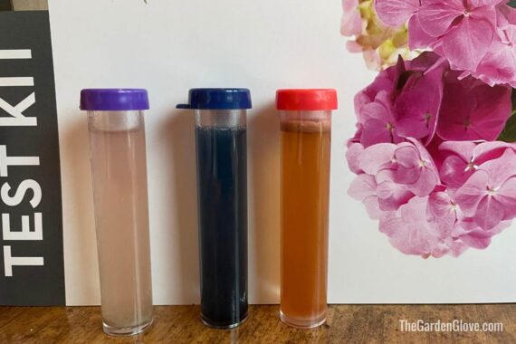 colored water in test tubes showing soil test results