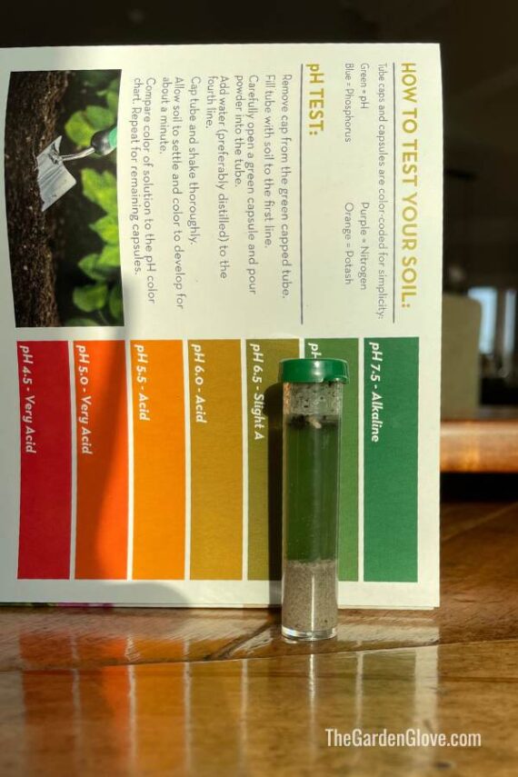 test tube with colored water after Ph test development 