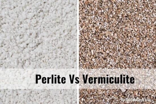 side by side close up photos of perlite and vermiculite