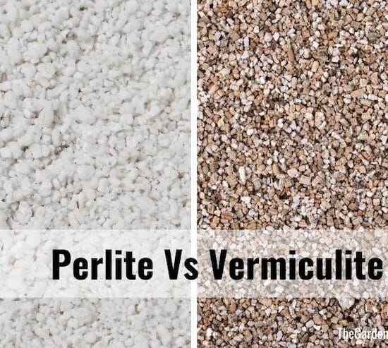 side by side close up photos of perlite and vermiculite