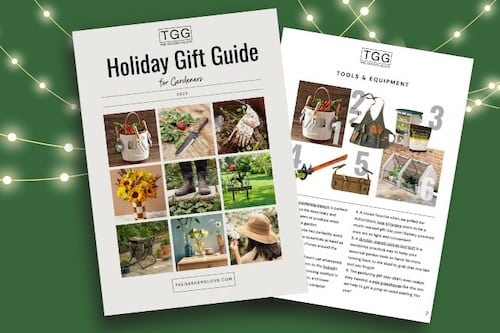 gift guide preview