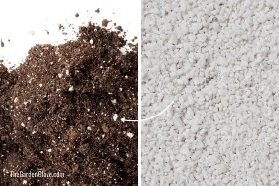 a side by side photo comparison of perlite mixed into soil vs isolated