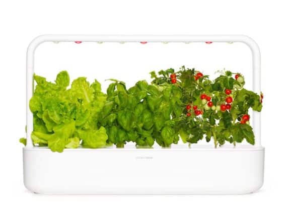 Click and Grow indoor garden