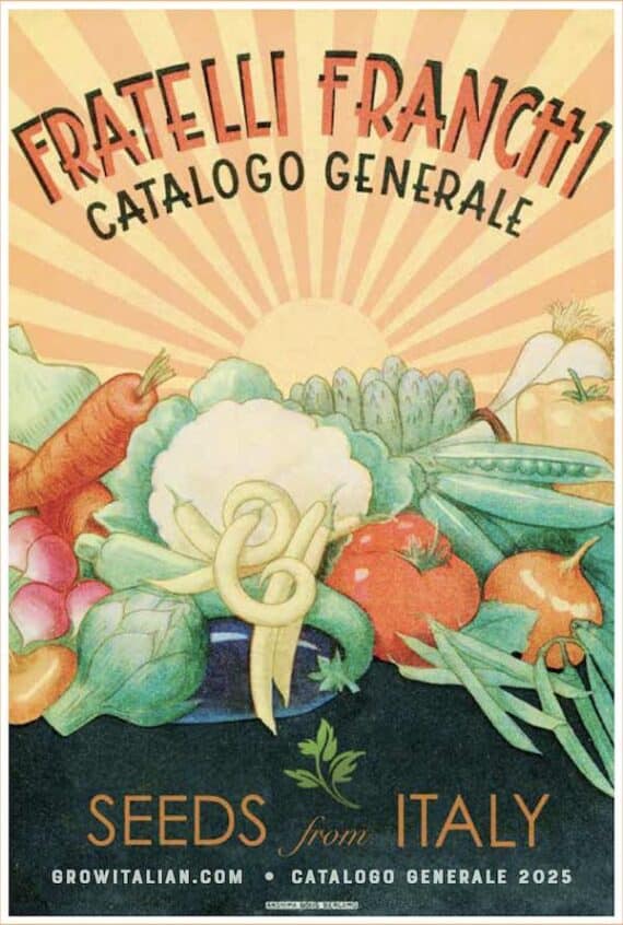 Seeds from Italy Catalog